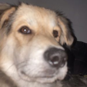 Meet your Posher, Bryceton